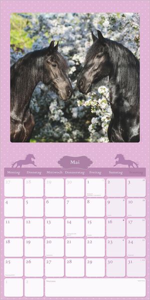Produktbild: Mein Pferdekalender 2027