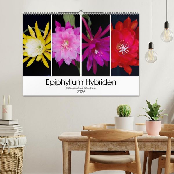Produktbild: Epiphyllum-Hybriden (Wandkalender 2026 DIN A2 quer), CALVENDO Monatskalender