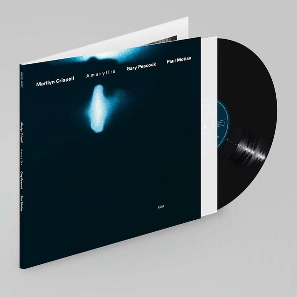 Produktbild: Amaryllis (Luminessene Series)