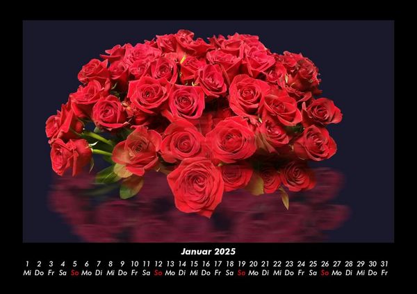 Produktbild: Rosen-Kalender 2025 Fotokalender DIN A3