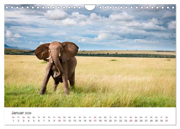 Produktbild: Kenia - Das wundervolle Land in Afrika. (Wandkalender 2026 DIN A4 quer), CALVENDO Monatskalender