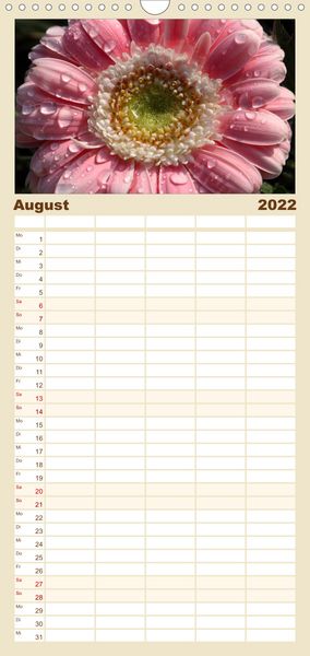 Produktbild: Familienplaner Floral Portraits - Blumen Impression (Wandkalender 2022 , 21 cm x 45 cm, hoch)