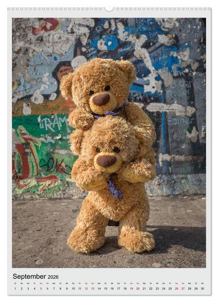 Produktbild: Travelling Teddy in Europa (hochwertiger Premium Wandkalender 2026 DIN A2 hoch), Kunstdruck in Hochglanz