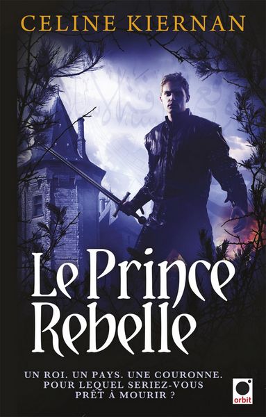 Produktbild: Le Prince rebelle (Les Moorehawke***)