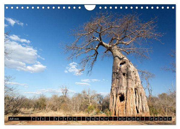 Produktbild: Faszination Simbabwe (Wandkalender 2026 DIN A4 quer), CALVENDO Monatskalender