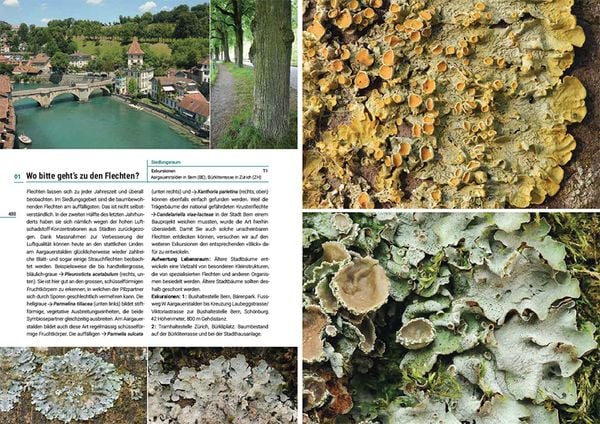 Produktbild: Flechten der Schweiz