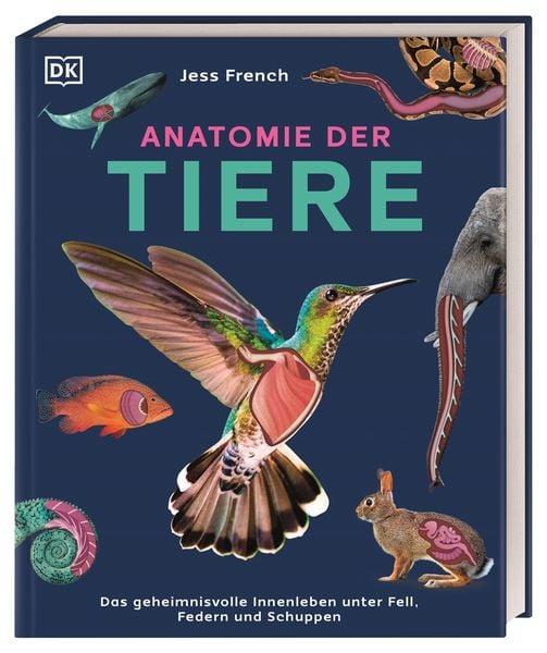 Produktbild: Anatomie der Tiere