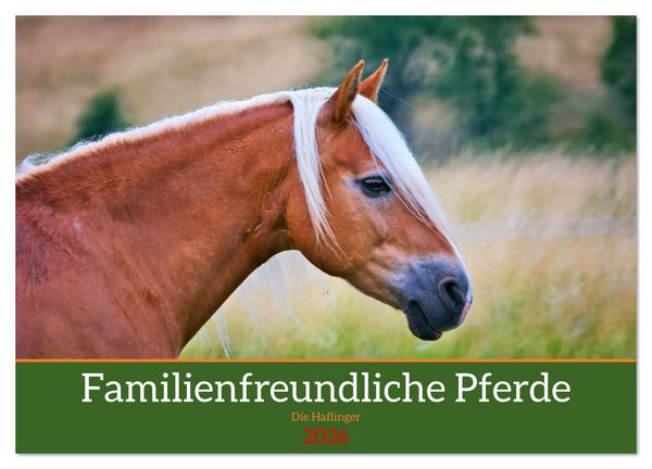 Produktbild: Familienfreundliche Pferde (Wandkalender 2026 DIN A4 quer), CALVENDO Monatskalender