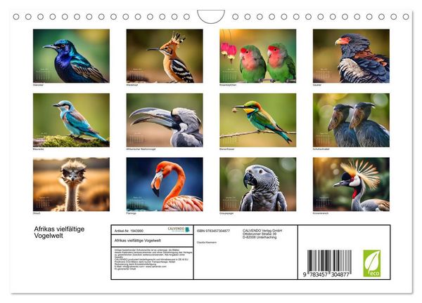 Produktbild: Afrikas vielf&auml;ltige Vogelwelt (Wandkalender 2026 DIN A4 quer), CALVENDO Monatskalender