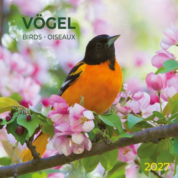 Produktbild: V&ouml;gel / Birds 2027
