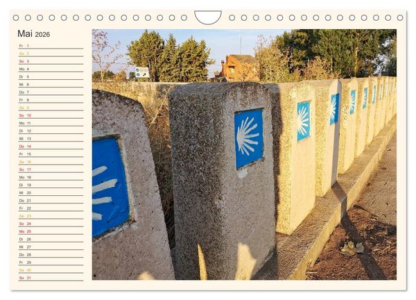Produktbild: Buen Camino - Pilgerreise auf dem Jakobsweg - Camino Franc&eacute;s (Wandkalender 2026 DIN A4 quer), CALVENDO Monatskalender