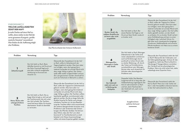 Produktbild: Hufe lesen