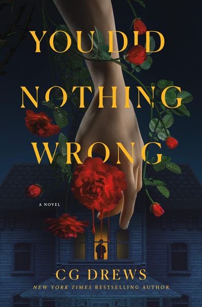 Produktbild: You Did Nothing Wrong