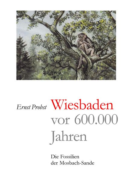 Produktbild: Wiesbaden vor 600.000 Jahren