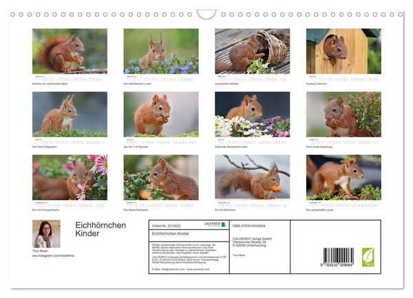 Produktbild: Eichh&ouml;rnchen Kinder (Wandkalender 2026 DIN A3 quer), CALVENDO Monatskalender