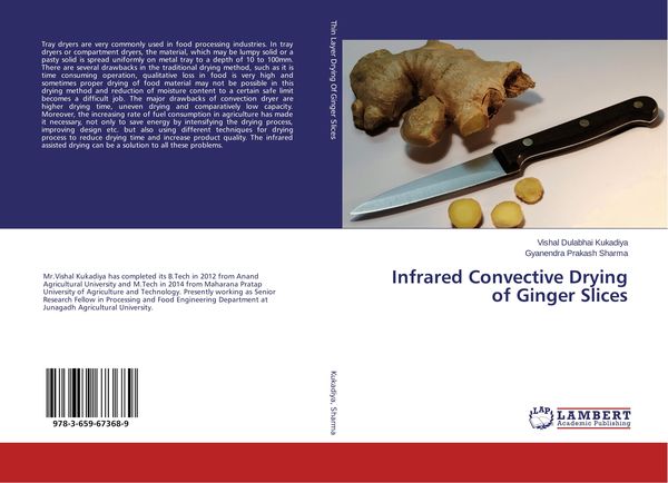 Produktbild: Infrared Convective Drying of Ginger Slices