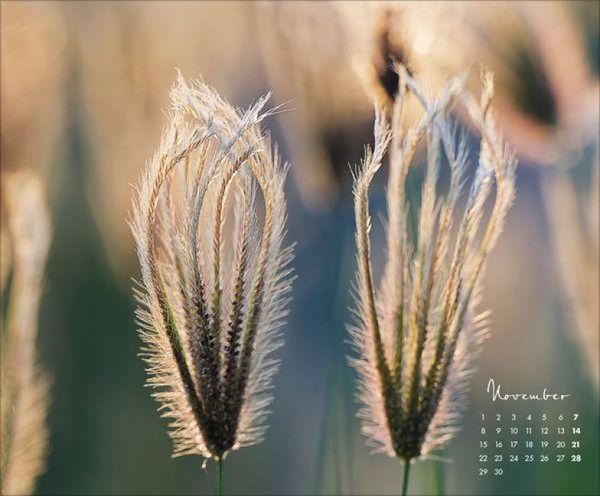 Produktbild: Floral Art 2027
