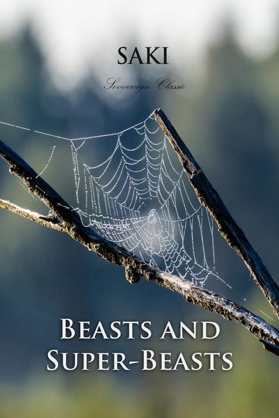 Produktbild: Beasts and Super-Beasts