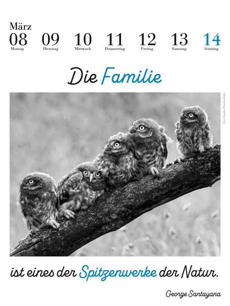 Produktbild: Der literarische Eulenkalender 2027