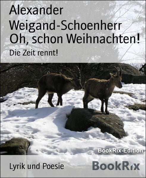 Produktbild: Oh, schon Weihnachten!