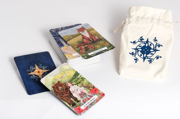 Produktbild: Das Tarot der Hexenweisheit