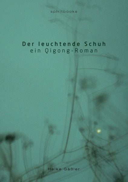 Der leuchtende Schuh, Taschenbuch von Heike Gässler, Spiritbooks, 9783981471489