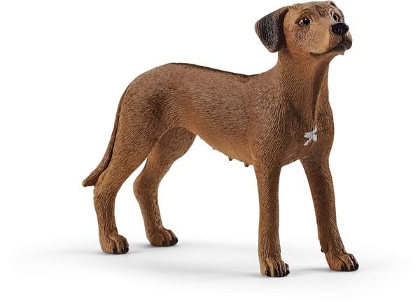Produktbild: schleich&reg; 13895 Farm World Rhodesian Ridgeback