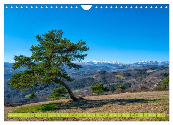 Produktbild: Solitude verdoyante (Calendrier mural 2026 DIN A4 vertical), CALVENDO calendrier mensuel