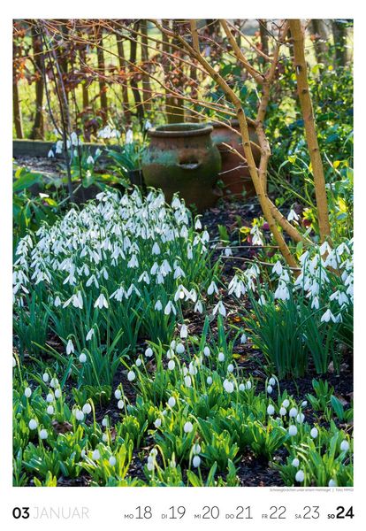Produktbild: Garten Wochenkalender 2027