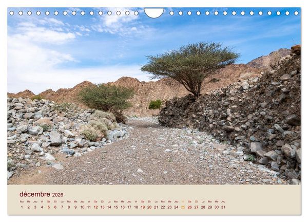 Produktbild: Entre pierres et sable (Calendrier mural 2026 DIN A4 vertical), CALVENDO calendrier mensuel
