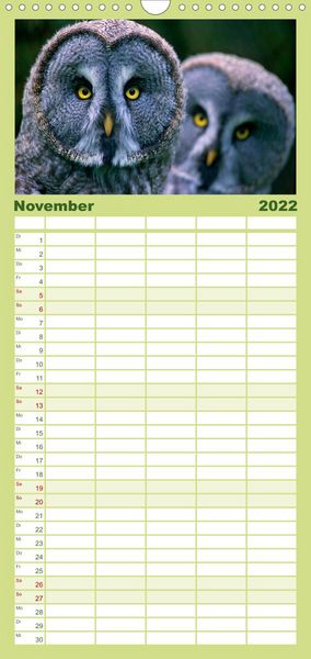 Produktbild: Familienplaner Tiere des Waldes (Wandkalender 2022 , 21 cm x 45 cm, hoch)