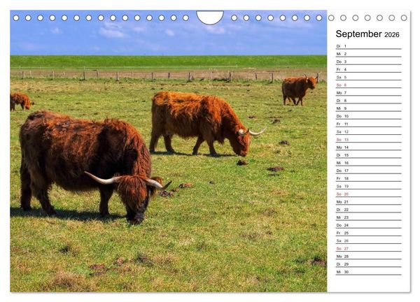 Produktbild: Langeoog - Sch&ouml;nste Insel Ostfrieslands (Wandkalender 2026 DIN A4 quer), CALVENDO Monatskalender
