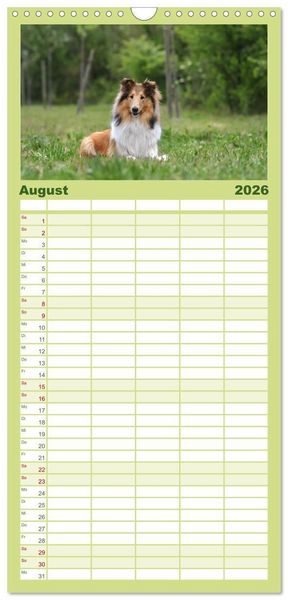 Produktbild: Familienplaner 2026 - Collies - charmante Herzensbrecher mit 5 Spalten (Wandkalender, 21 x 45 cm) CALVENDO