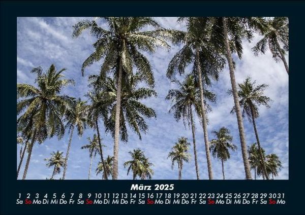 Produktbild: Palmentraum 2025 Fotokalender DIN A5