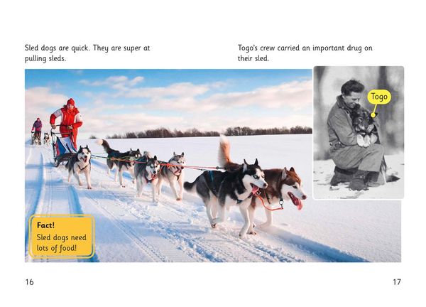 Produktbild: Super Dogs