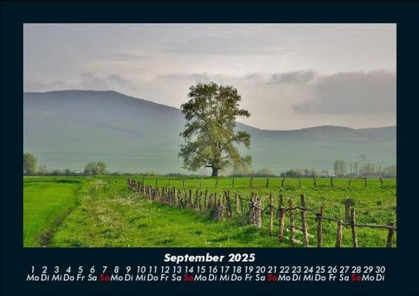Produktbild: B&auml;ume 2025 Fotokalender DIN A5