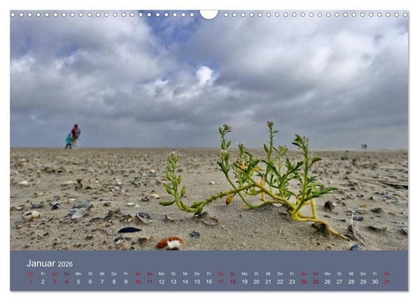 Produktbild: Norderney - Meine Trauminsel (Wandkalender 2026 DIN A3 quer), CALVENDO Monatskalender