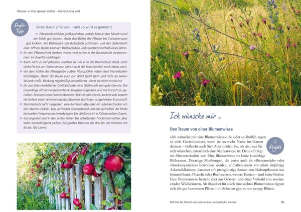 Produktbild: Mein Garten wird ein Naturgarten