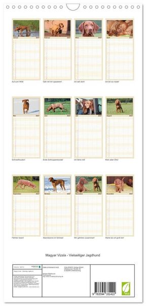 Produktbild: Familienplaner 2027 - Magyar Vizsla - Vielseitiger Jagdhund mit 5 Spalten (Wandkalender, 21 x 45 cm) CALVENDO
