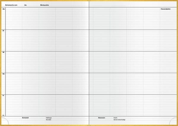 Produktbild: Unterrichtsbuch Ad5/5Tage gold