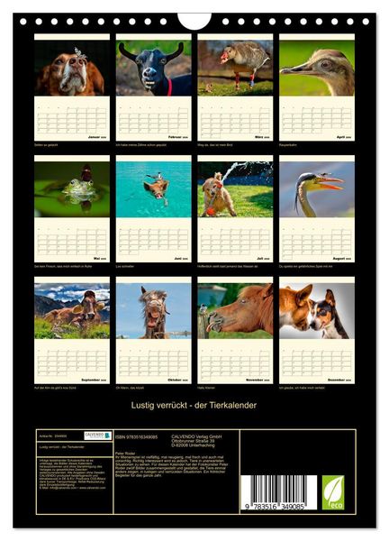 Produktbild: Lustig verr&uuml;ckt - der Tierkalender (Wandkalender 2026 DIN A4 hoch), CALVENDO Monatskalender