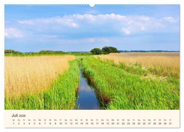Produktbild: Ummanz - Naturparadies in der R&uuml;gener Boddenlandschaft (Wandkalender 2026 DIN A2 quer), CALVENDO Monatskalender