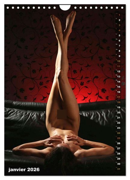 Produktbild: Le canap&eacute; (Calendrier mural 2026 DIN A4 horizontal), CALVENDO calendrier mensuel