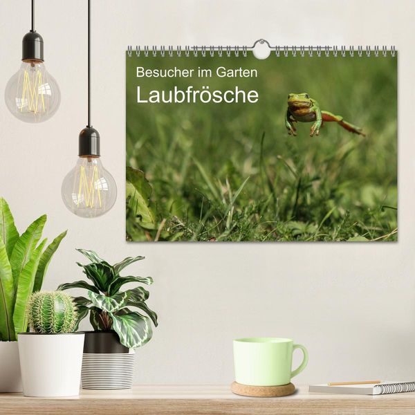 Produktbild: Besucher im Garten - Laubfr&ouml;sche (Wandkalender 2026 DIN A4 quer), CALVENDO Monatskalender