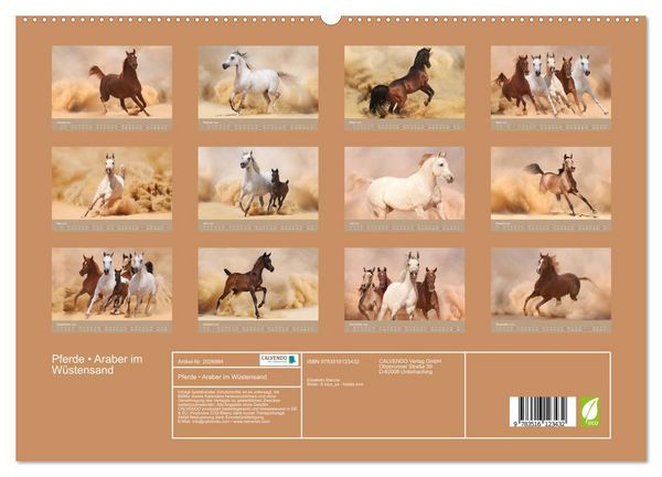 Produktbild: Pferde &bull; Araber im W&uuml;stensand (hochwertiger Premium Wandkalender 2026 DIN A2 quer), Kunstdruck in Hochglanz