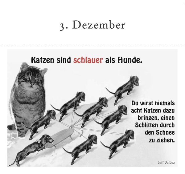 Produktbild: Der literarische Katzen-Adventskalender