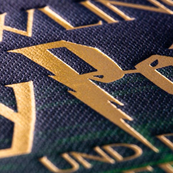 Harry Potter und der Stein der Weisen (MinaLima-Edition mit 3D-Papierkunst 1)