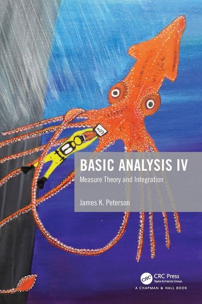 Produktbild: Basic Analysis IV