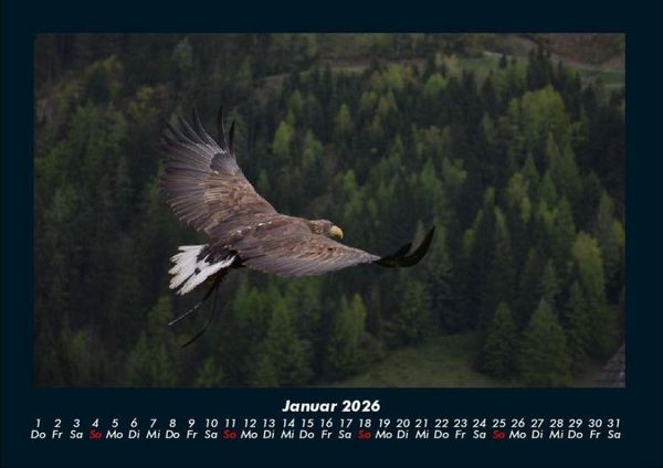 Produktbild: Adler 2026 Fotokalender DIN A4