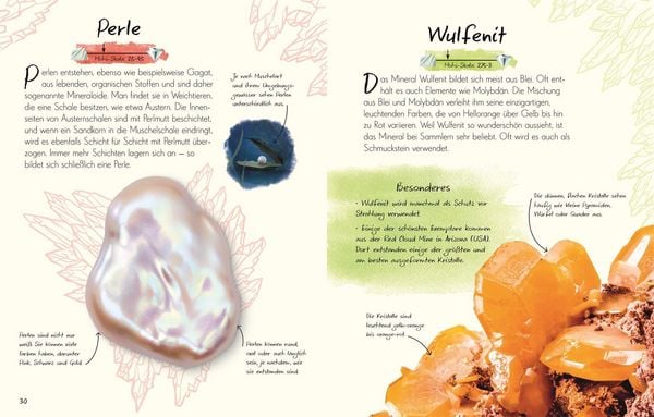 Produktbild: Wundervolle Welt &ndash; Kleine Sch&auml;tze. Steine und Mineralien